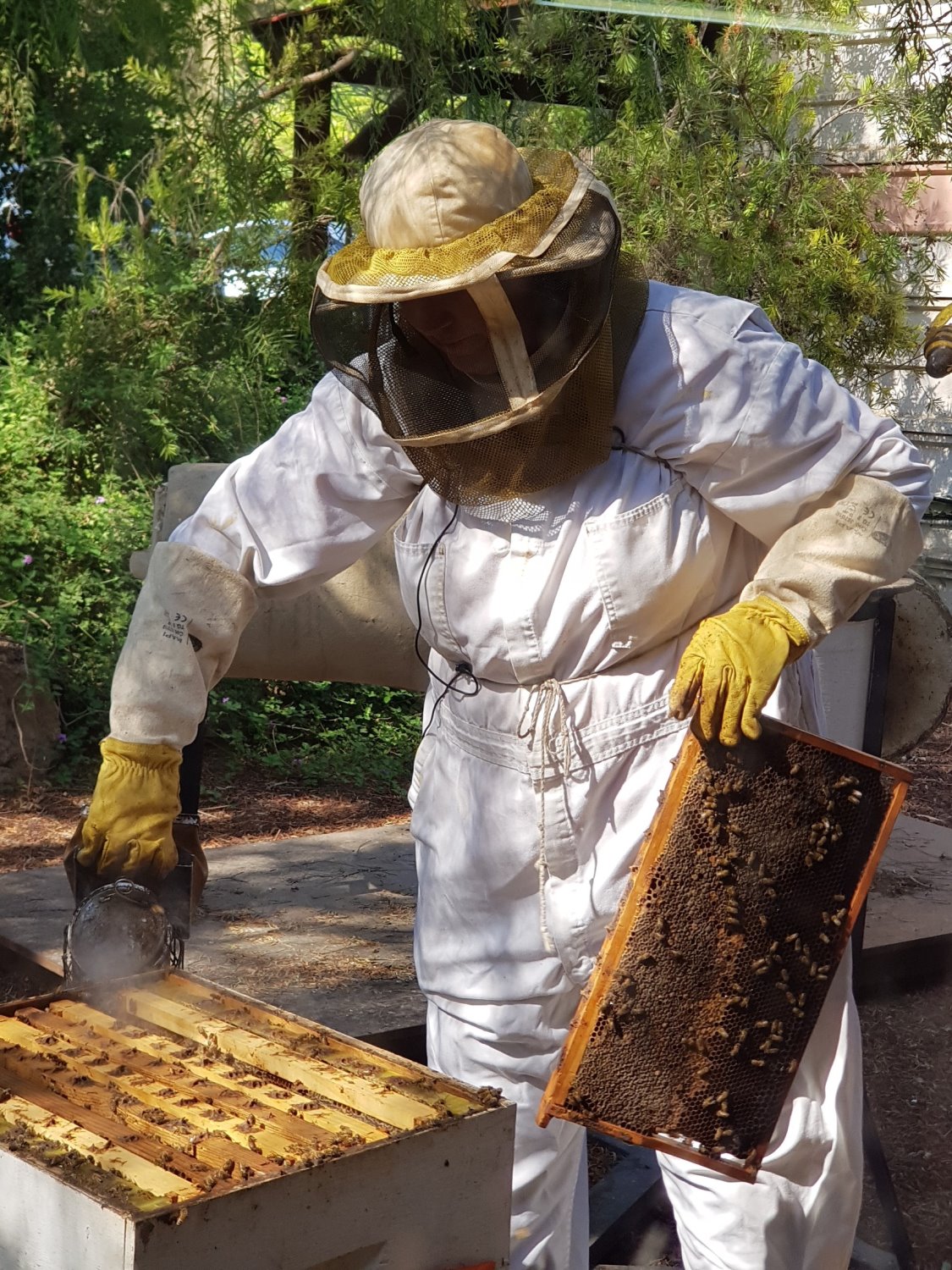 צילום אלדה נתנאל