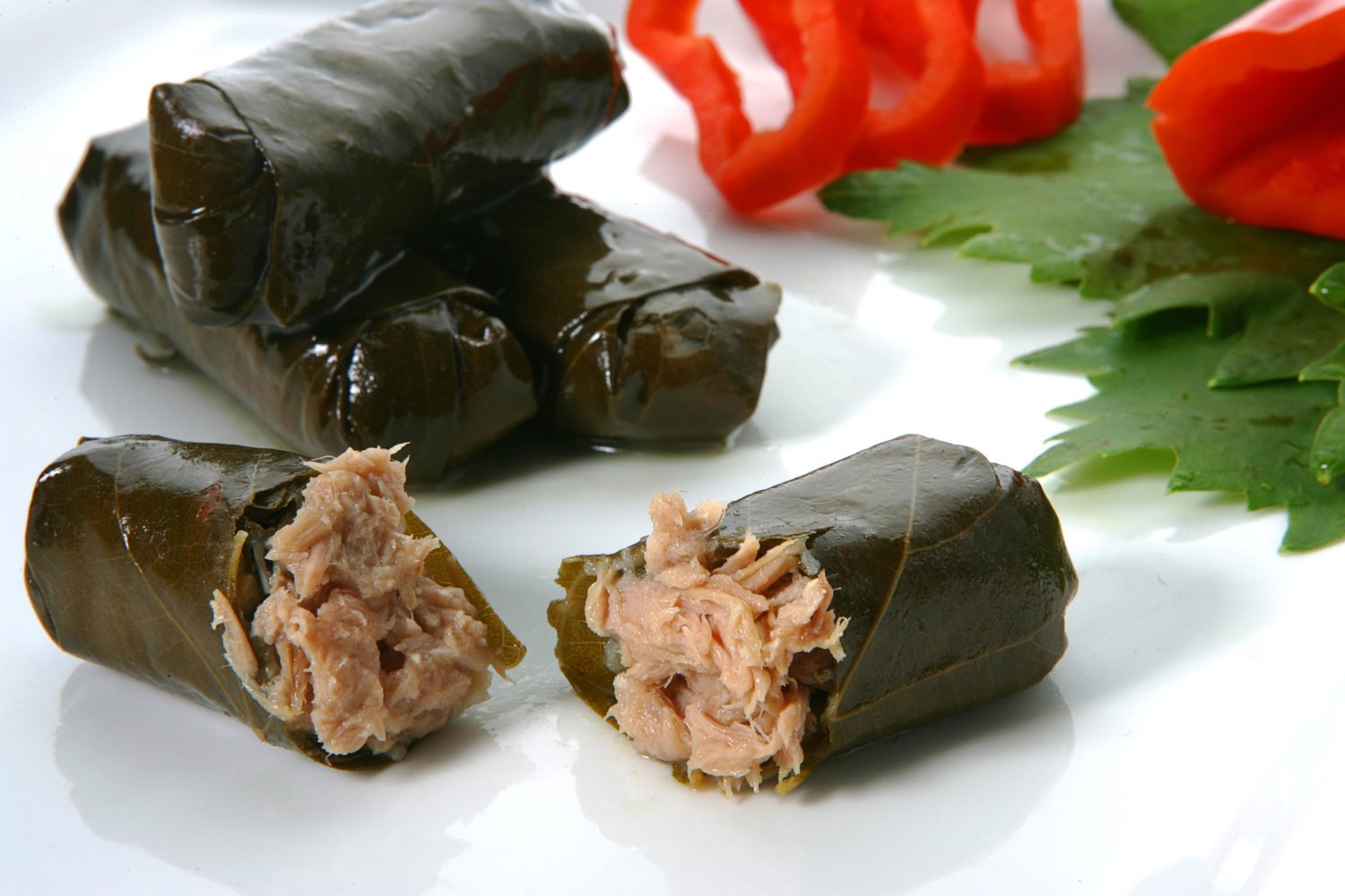 צילום: ניר עצמון