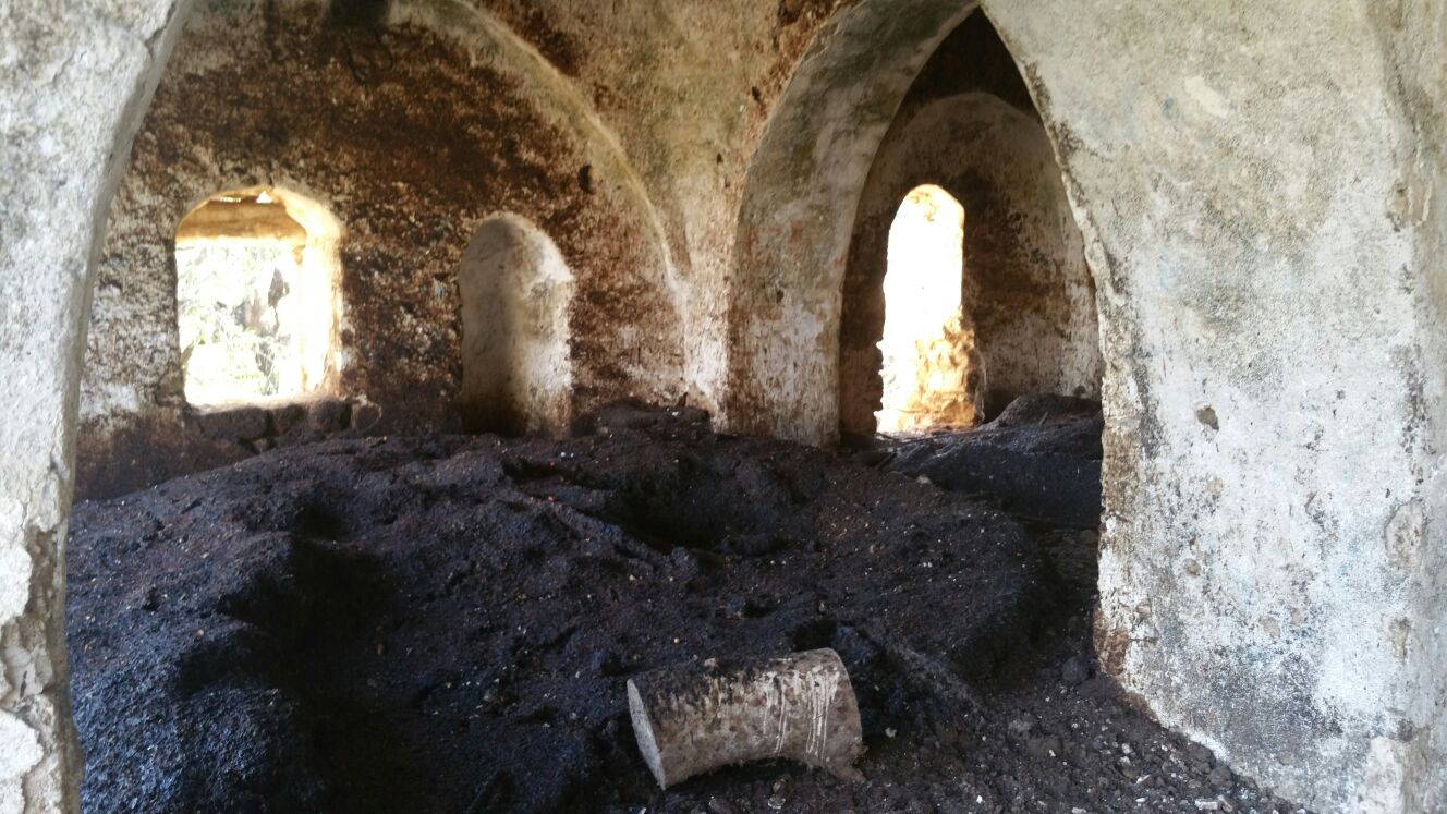 דוברות משטרה