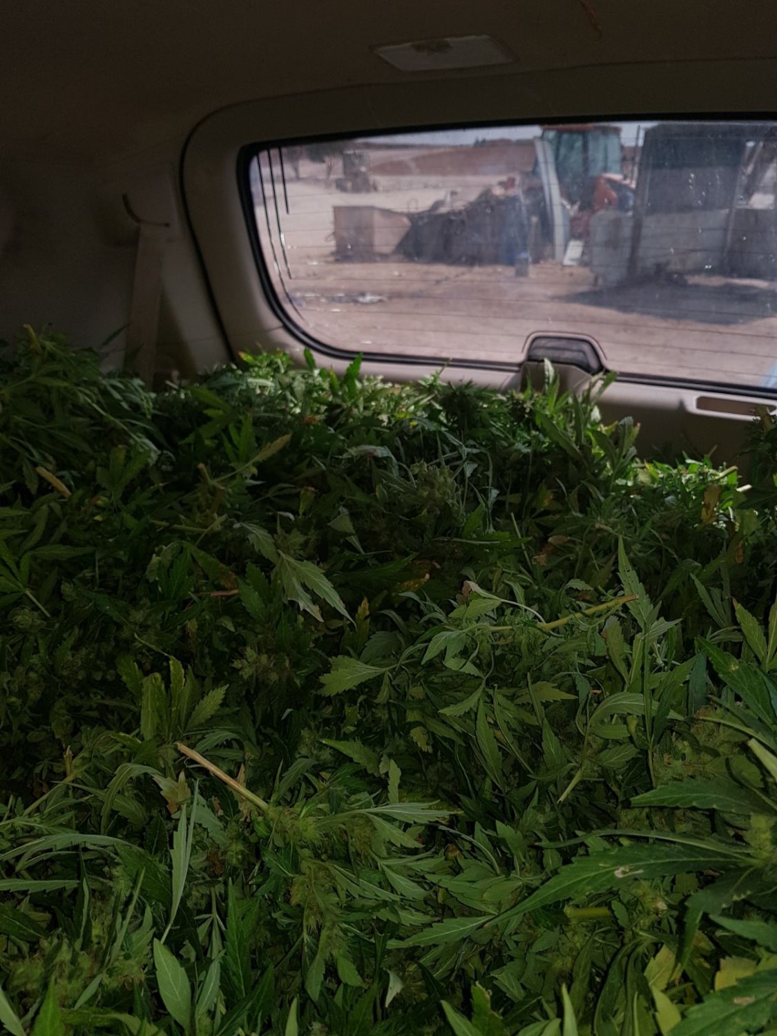 צילום דוברות משטרה