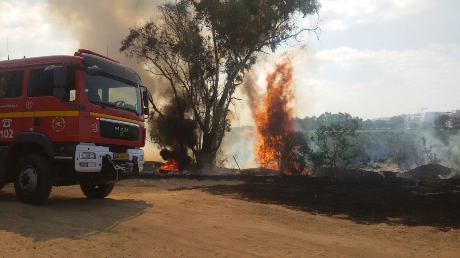 השריפה בפארק