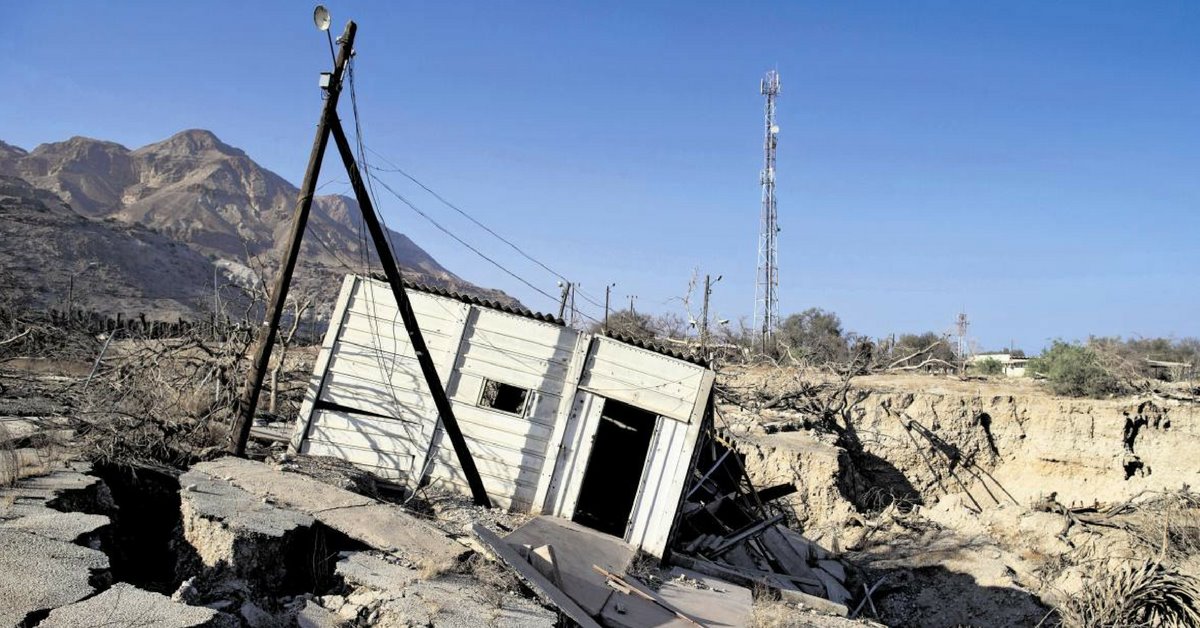 ברור שלעין גדי נגרם הנזק הגדול מכולם. מכת הבולענים, צילום: עמית שאבי