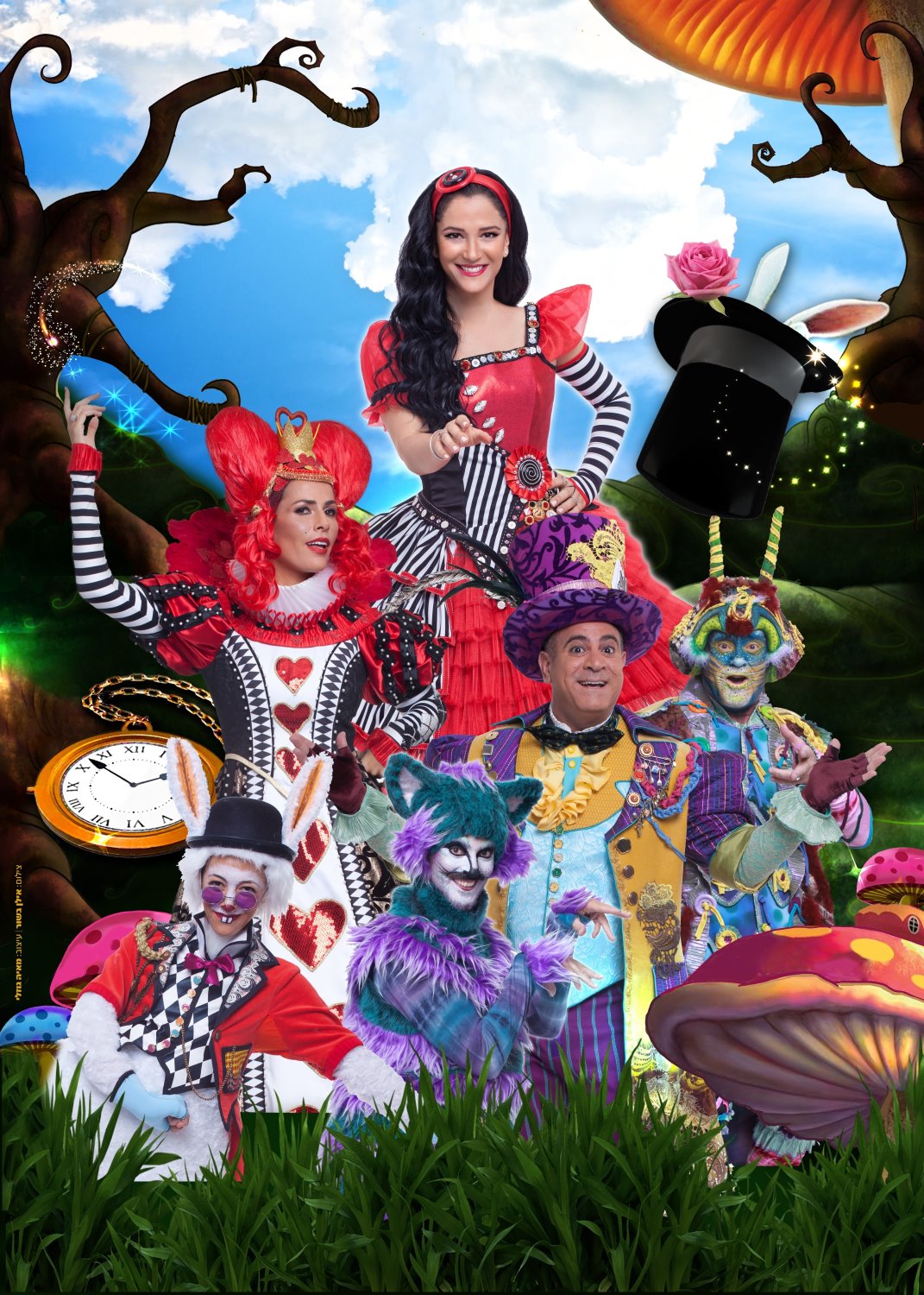 מיקי בארץ הפלאות. צילום: אילן בשור