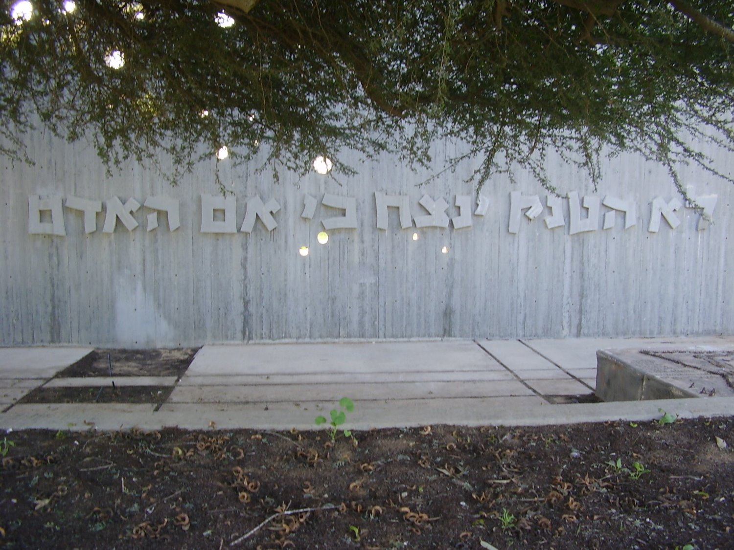 אנדרטת נירים. צילום: ד"ר אבישי טייכר