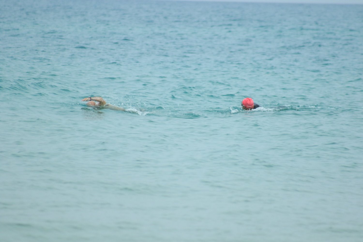 צילום: ניר רויבסקי