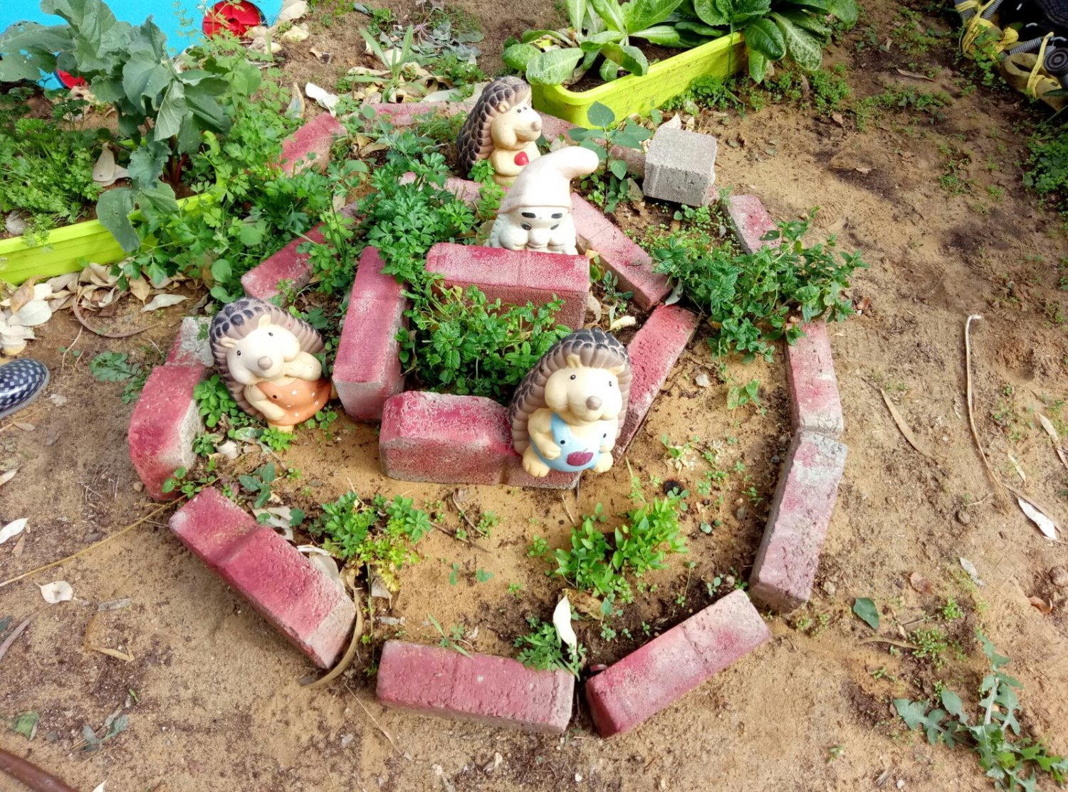 דוברות מ.א.חוף אשקלון