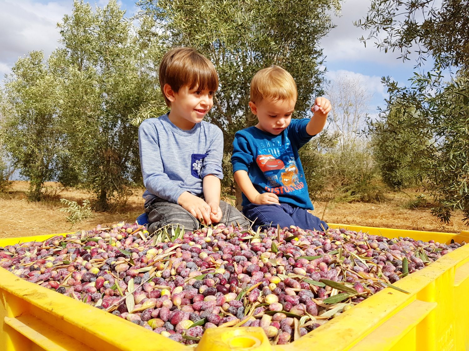 צילום : אלדה נתנאל