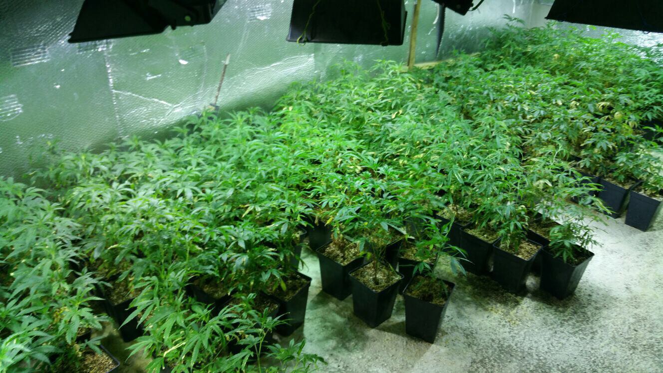 מעבדת סמים בנתיב העשרה