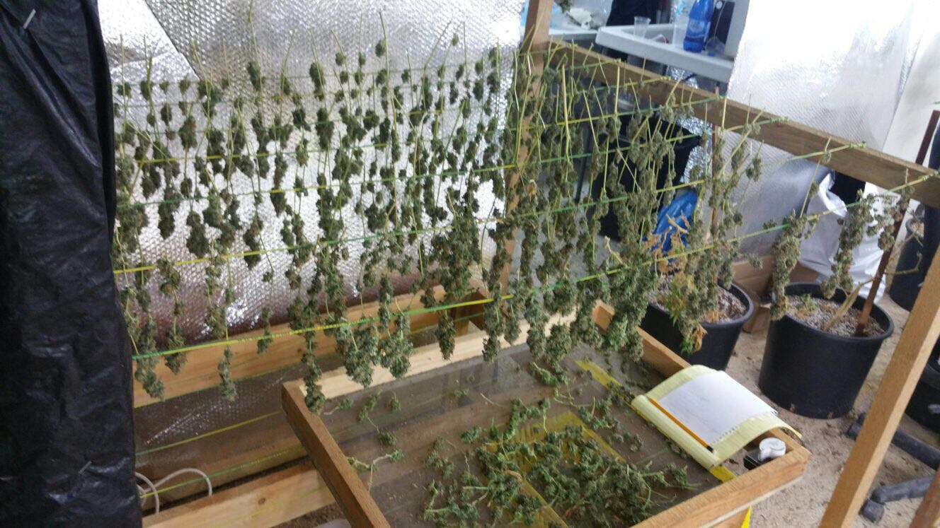 דוברות משטרה