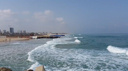 צילום עופר אשטוקר