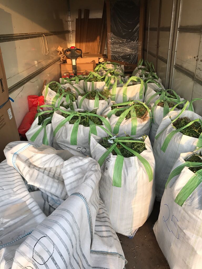 דוברות משטרה