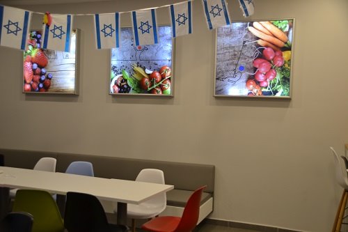 מוקד טארגט קול אשדוד