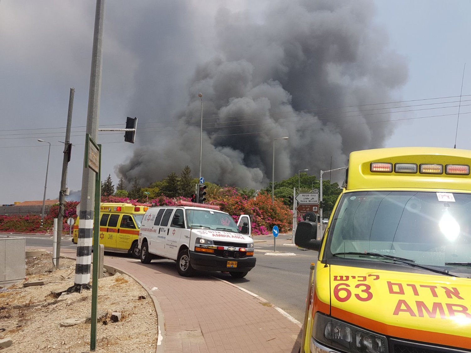 צילום: דיווחים לכיש