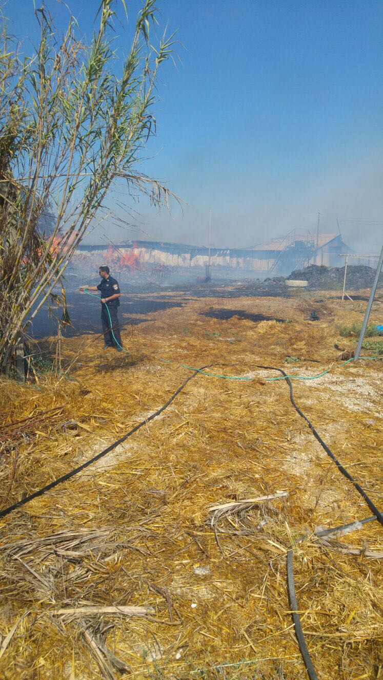 דוברות משטרה