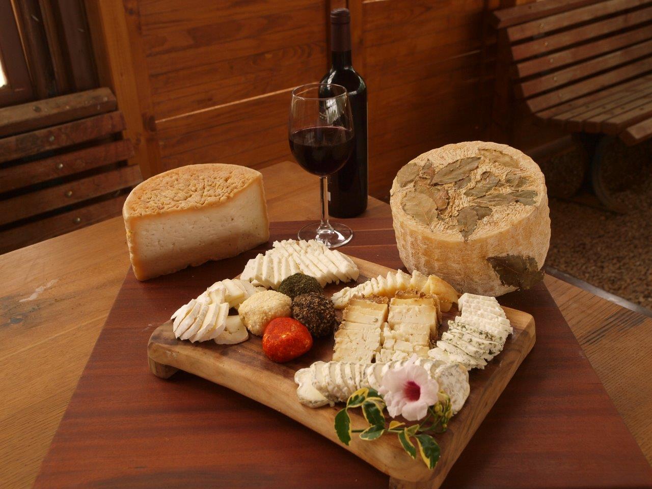 צילום טל גליק