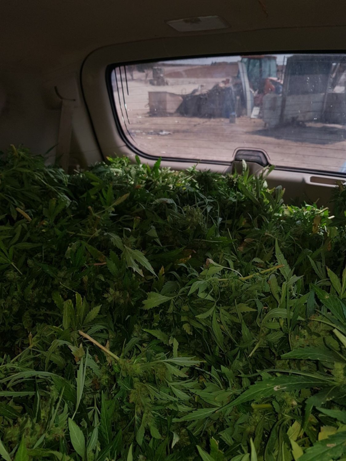 דוברות משטרה