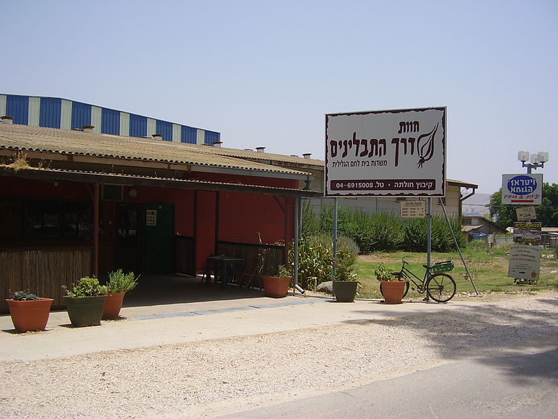 דר' אבישי טייכר, מתוך אתר פיקיויקי