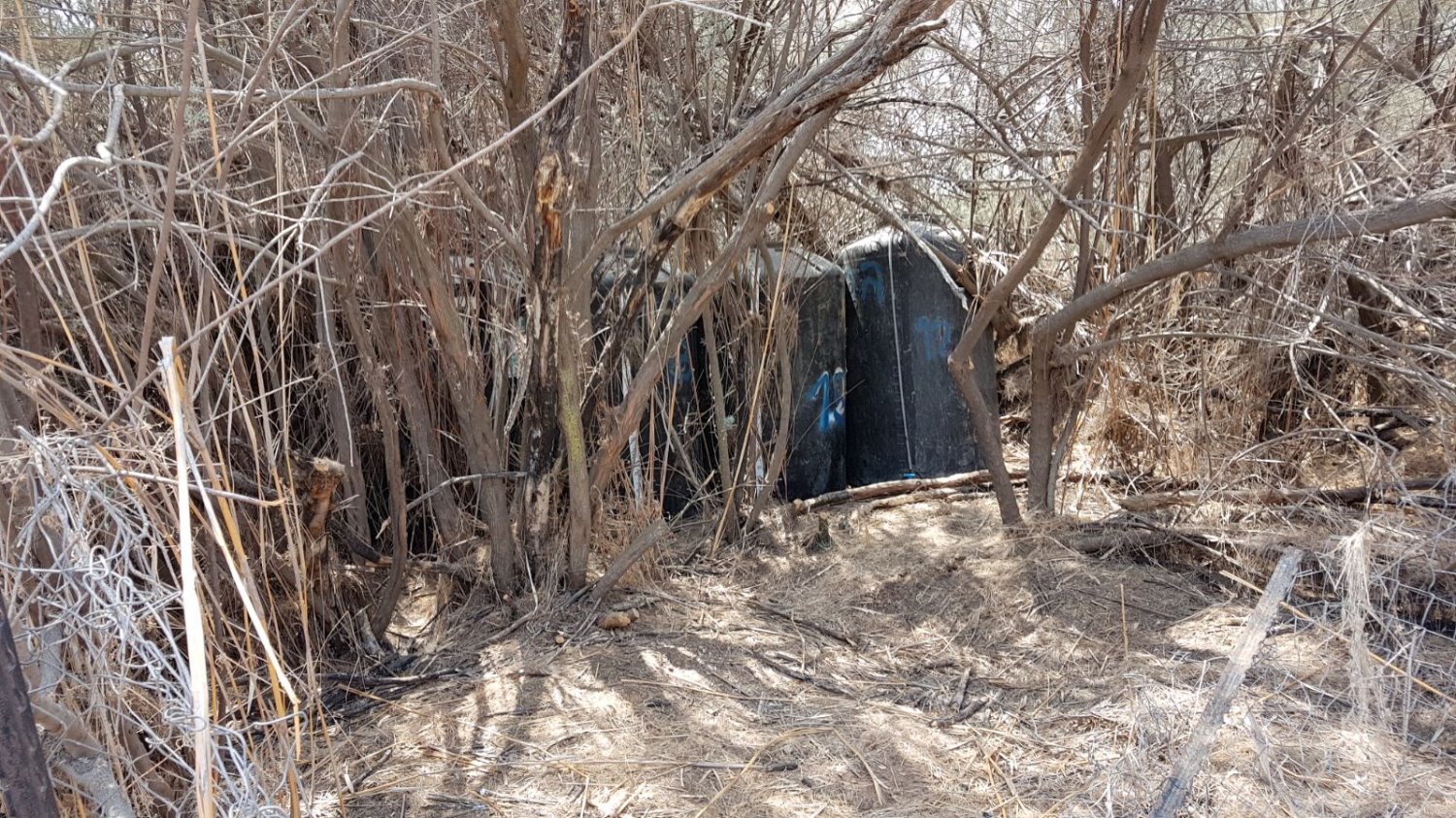 דוברות משטרה