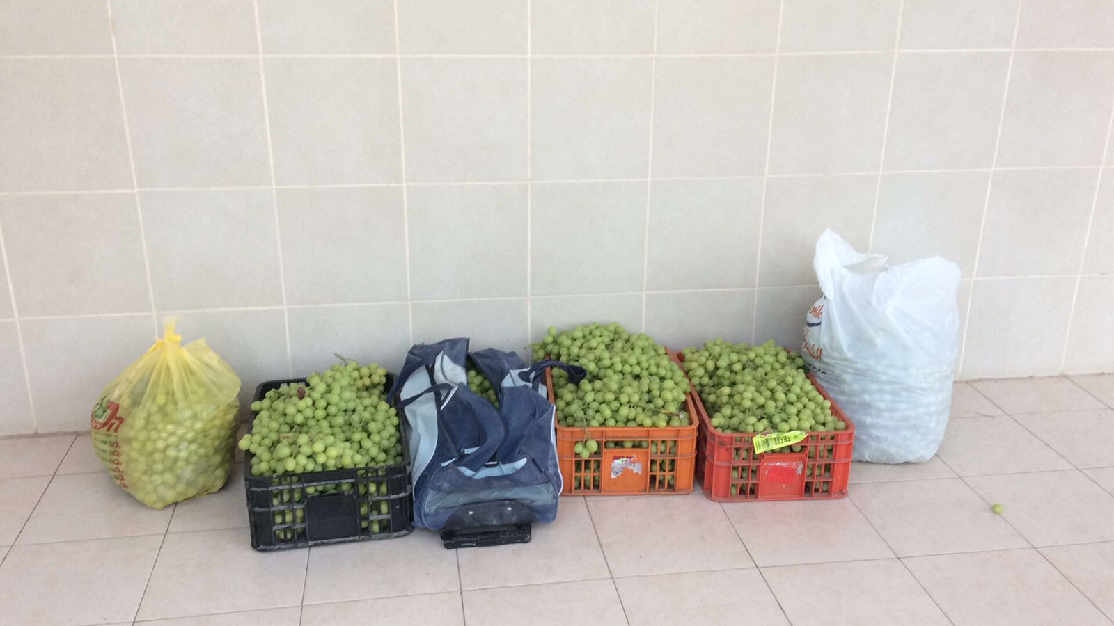 דוברות משטרה