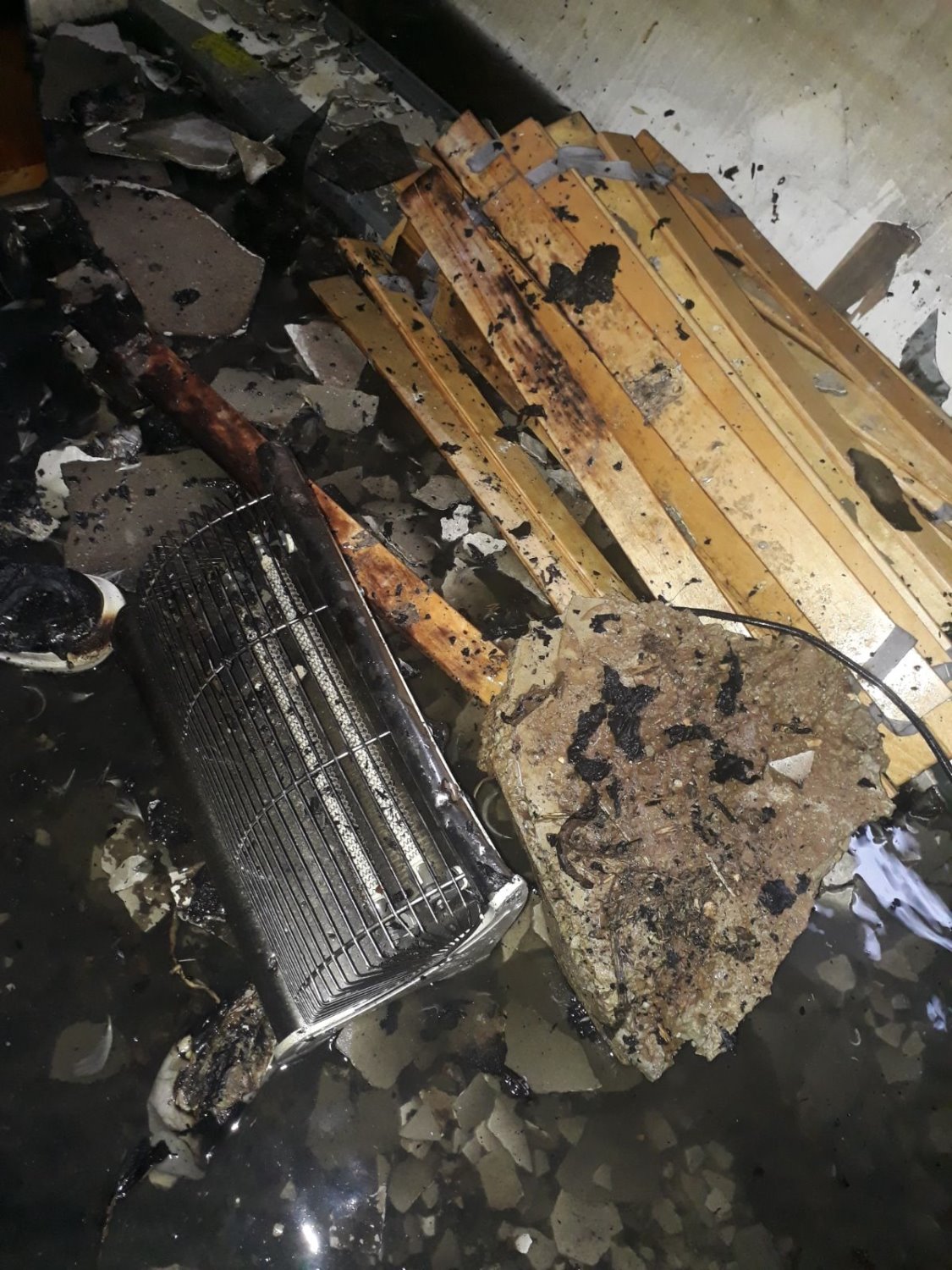 צילום אלי כהן כב"ה דרום