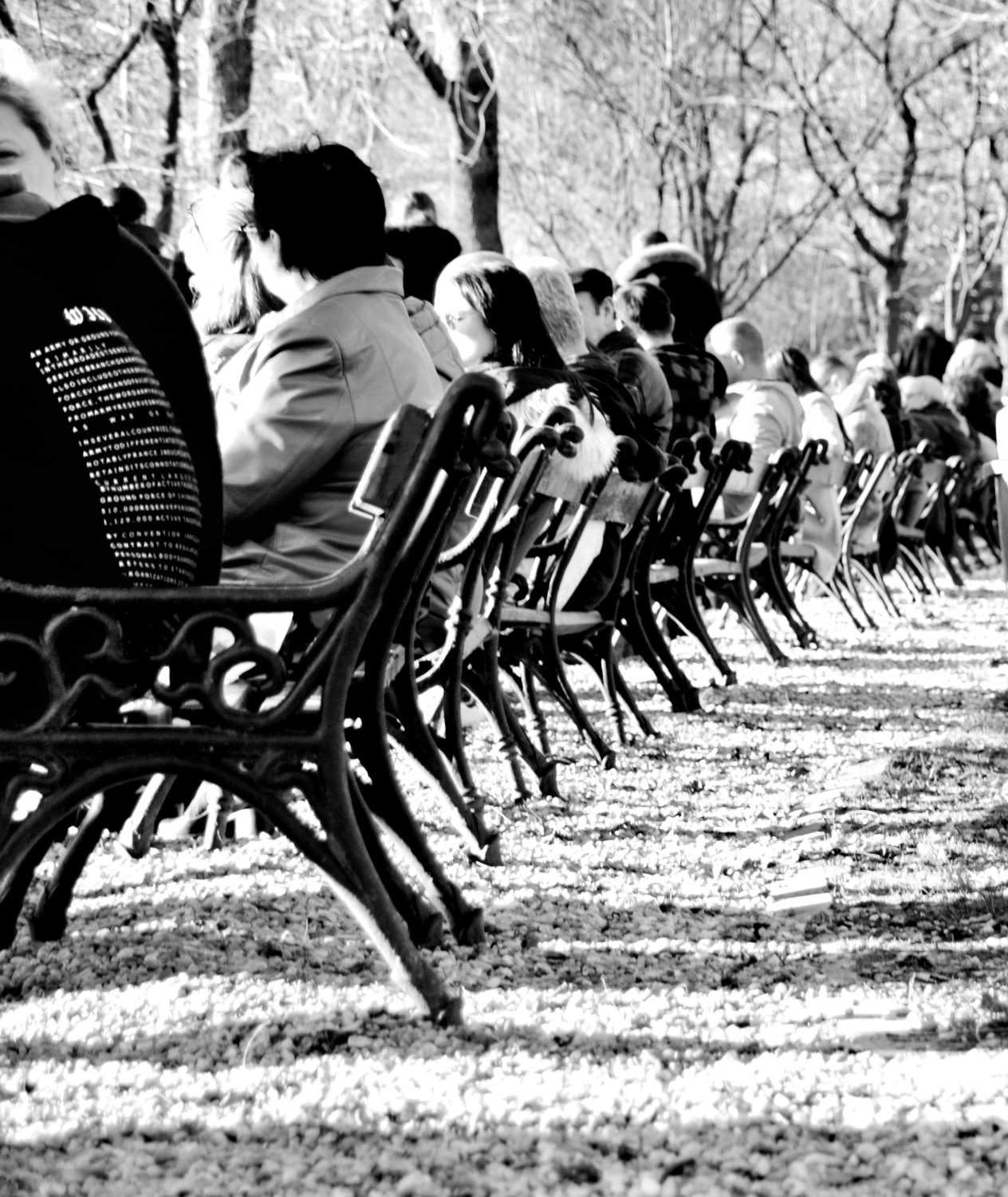 פארק צישמיגו