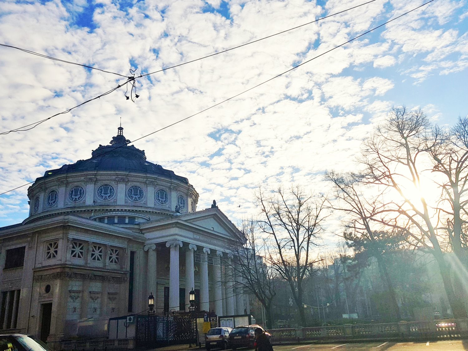 בוקרשט - אלדה נתנאל