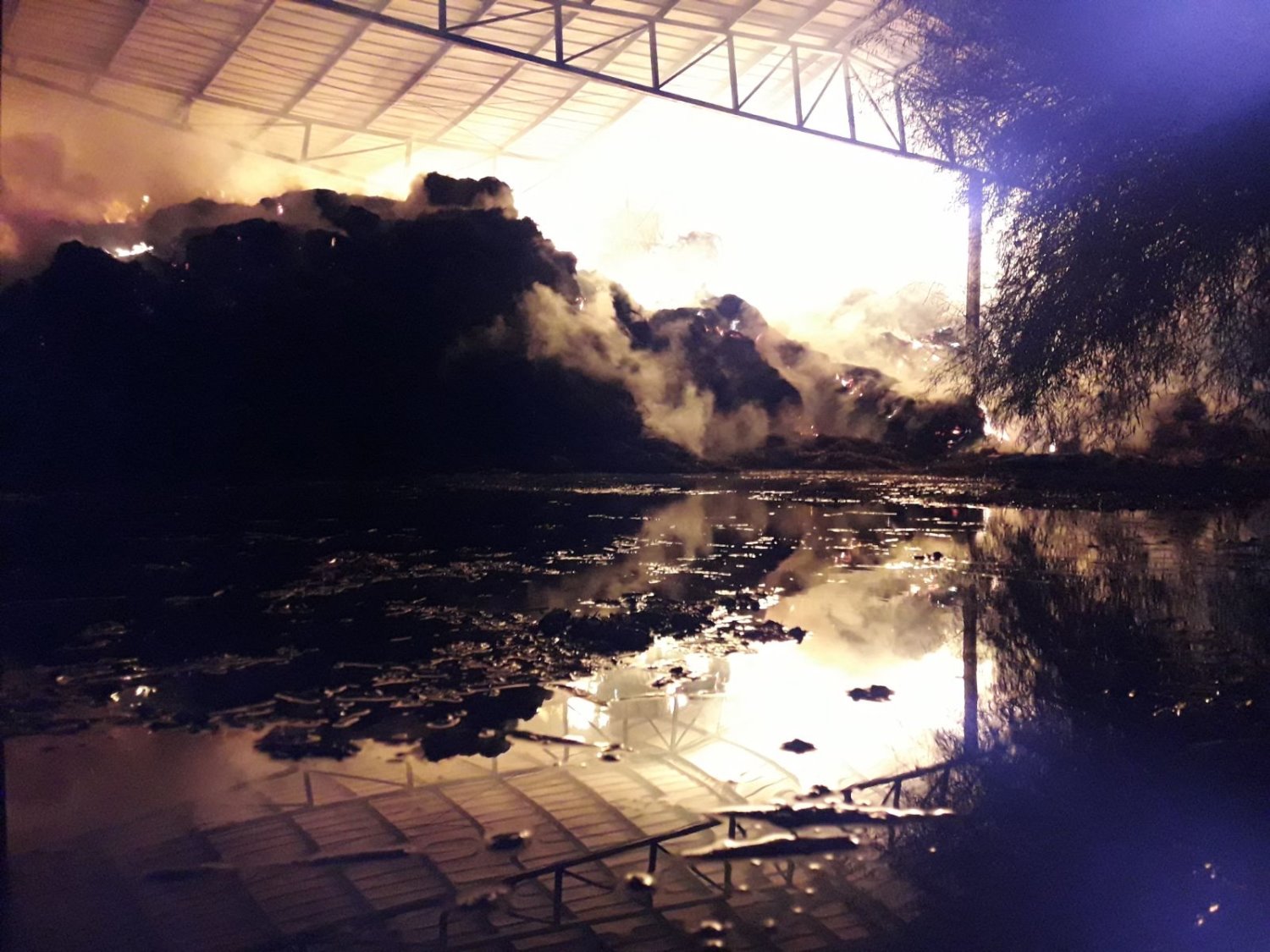 צילום אלי כהן כב"ה דרום