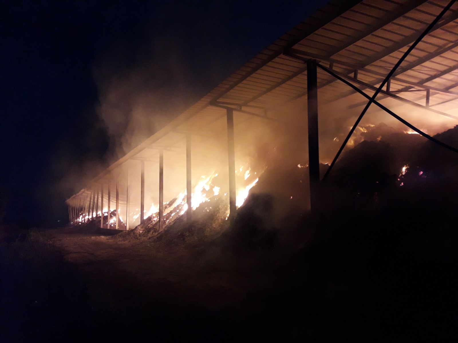 צילום אלי כהן כב"ה דרום