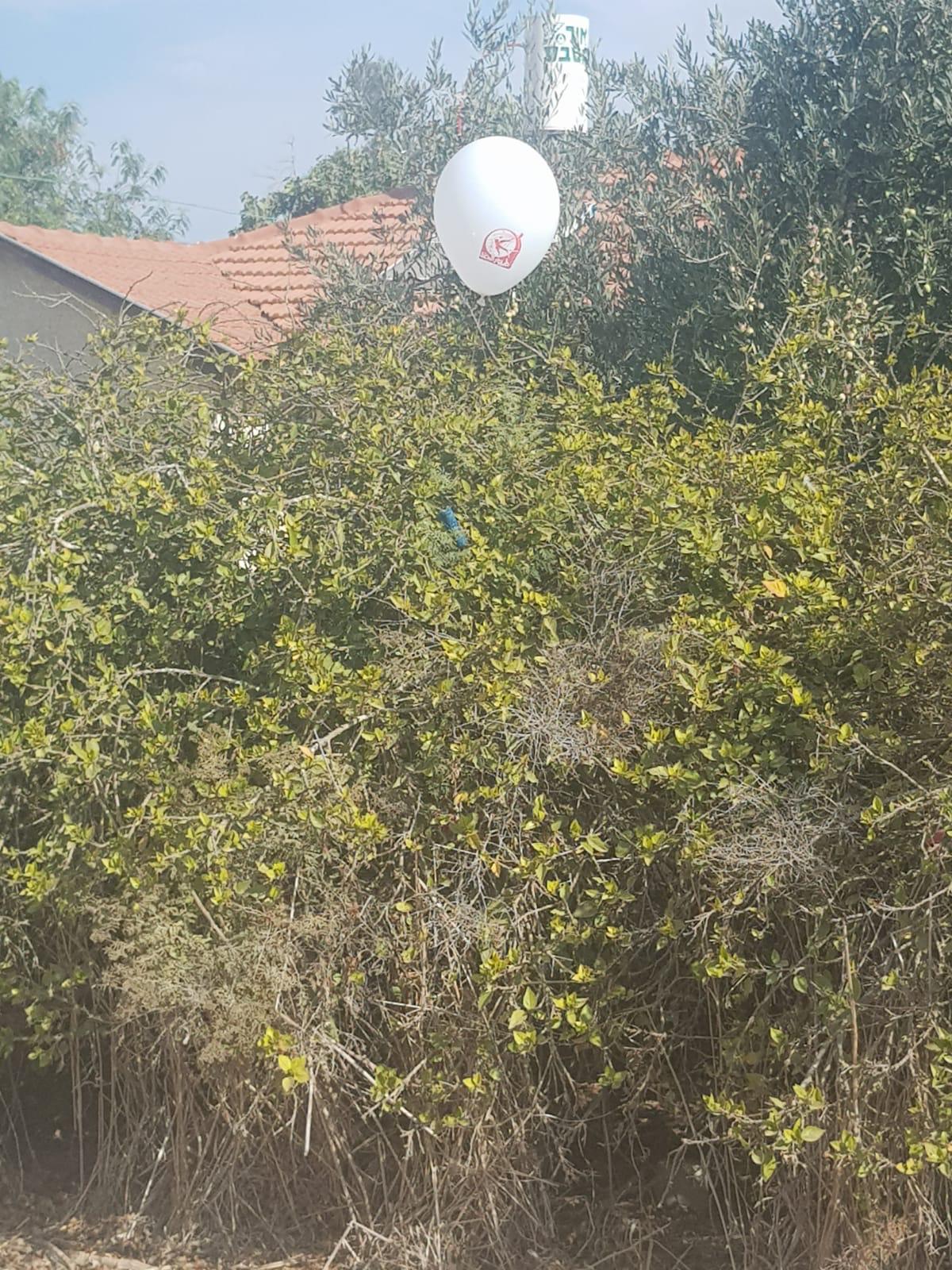 בניר ישראל. צילמו עוז כהן ואיציק לוגסי