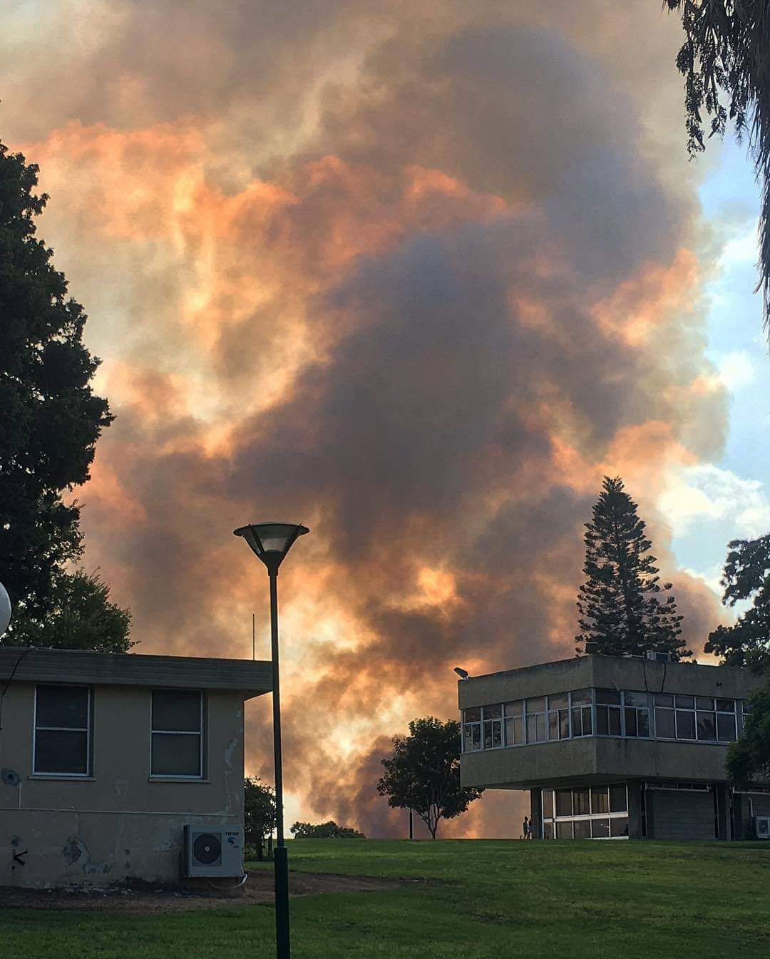 צילום מתוך קיבוץ זיקים- אתי דויטש