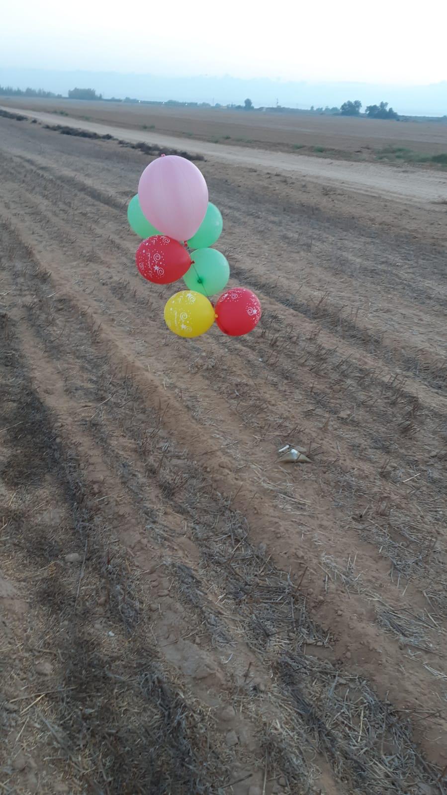 דוברות אשכול