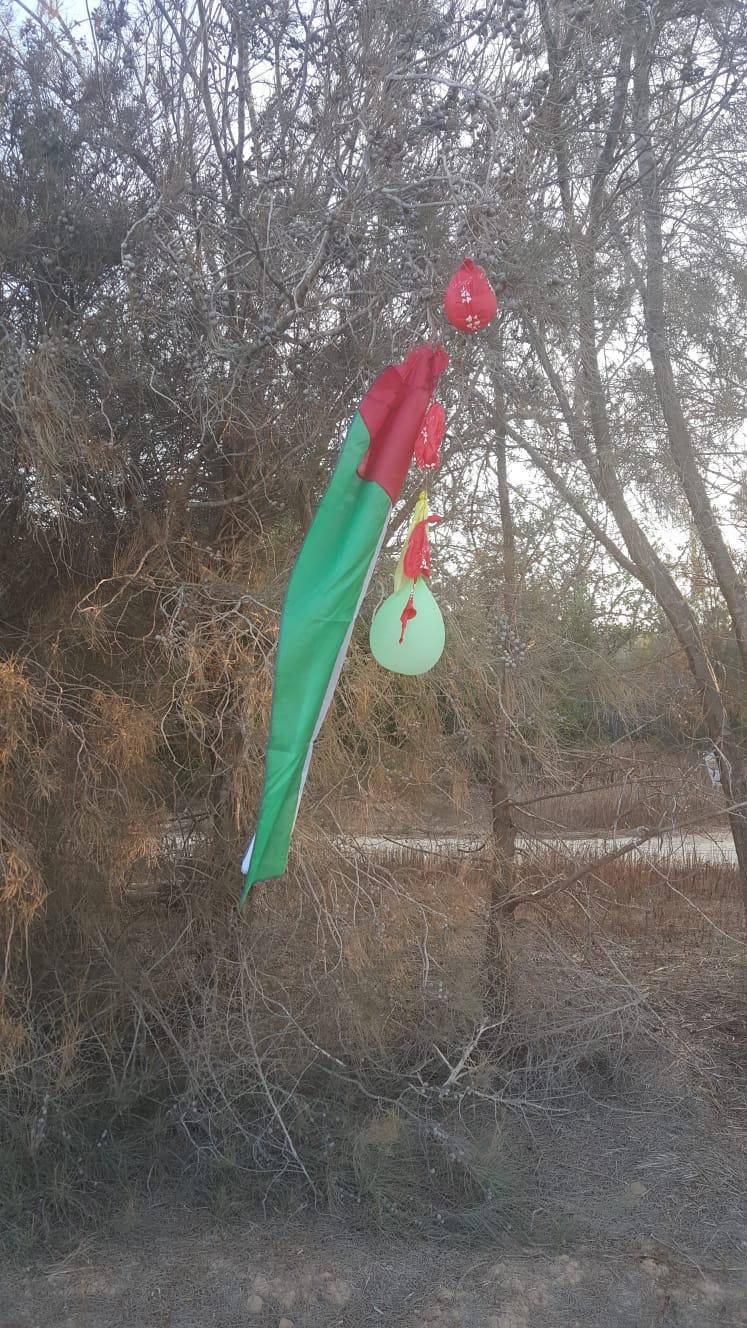 דוברות אשכול