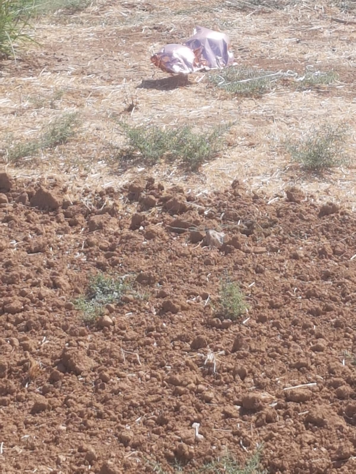 בלון תבערה במושב שחר