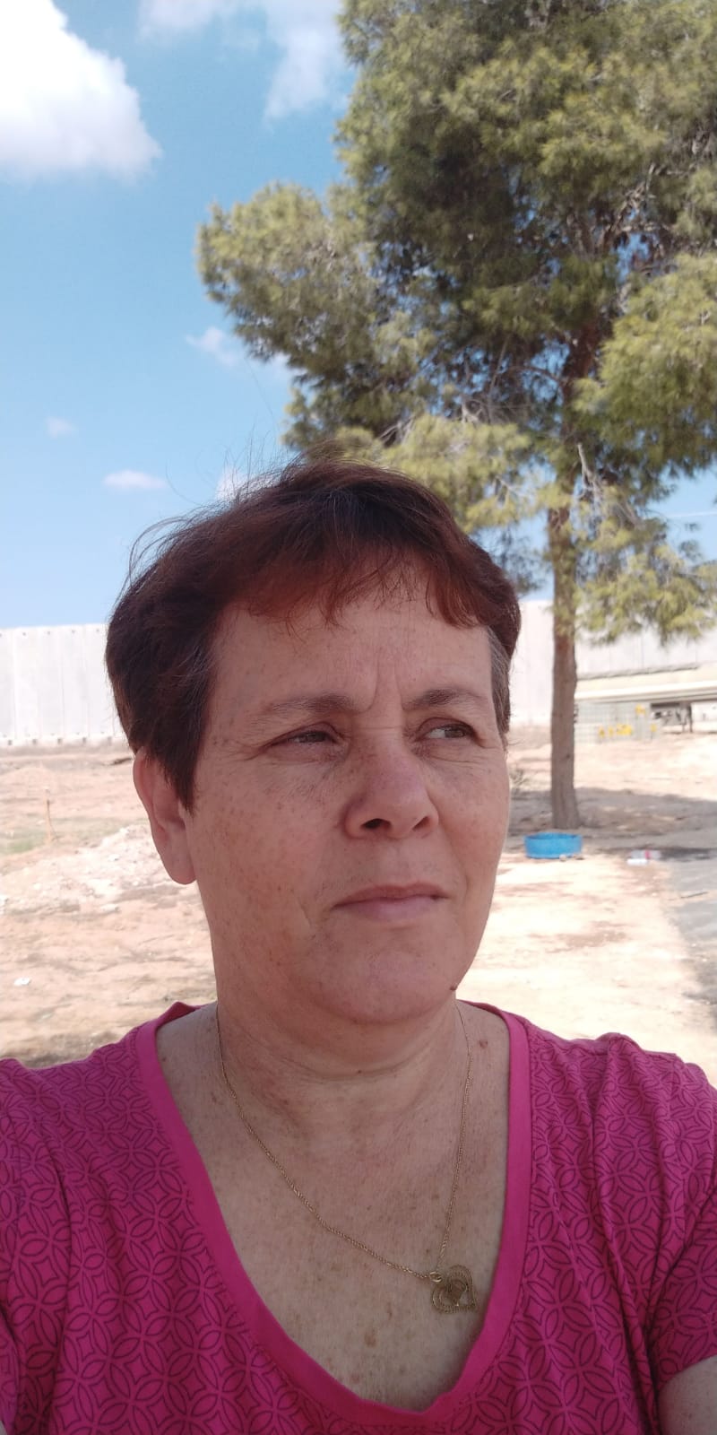 המקרה אינו מעיד על הכלל. גיסין, צילום: אלבום פרטי