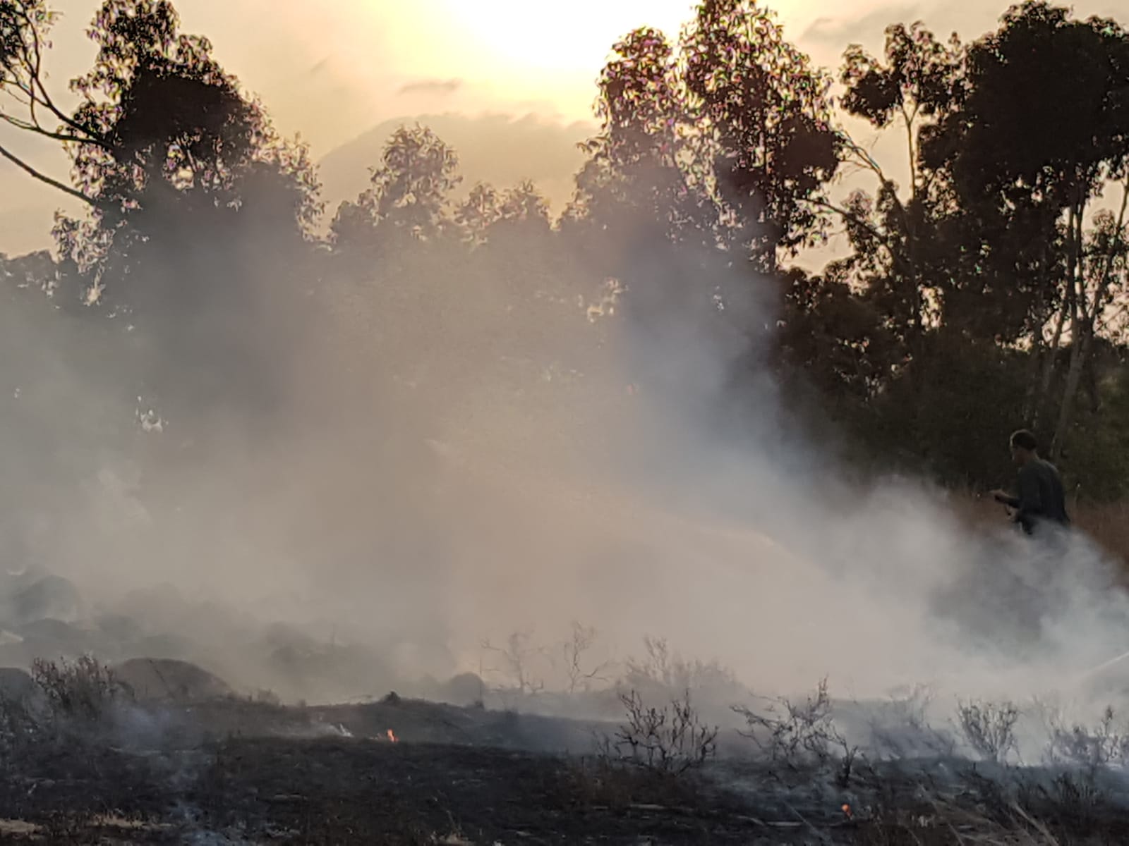 שריפה בעוטף עזה 