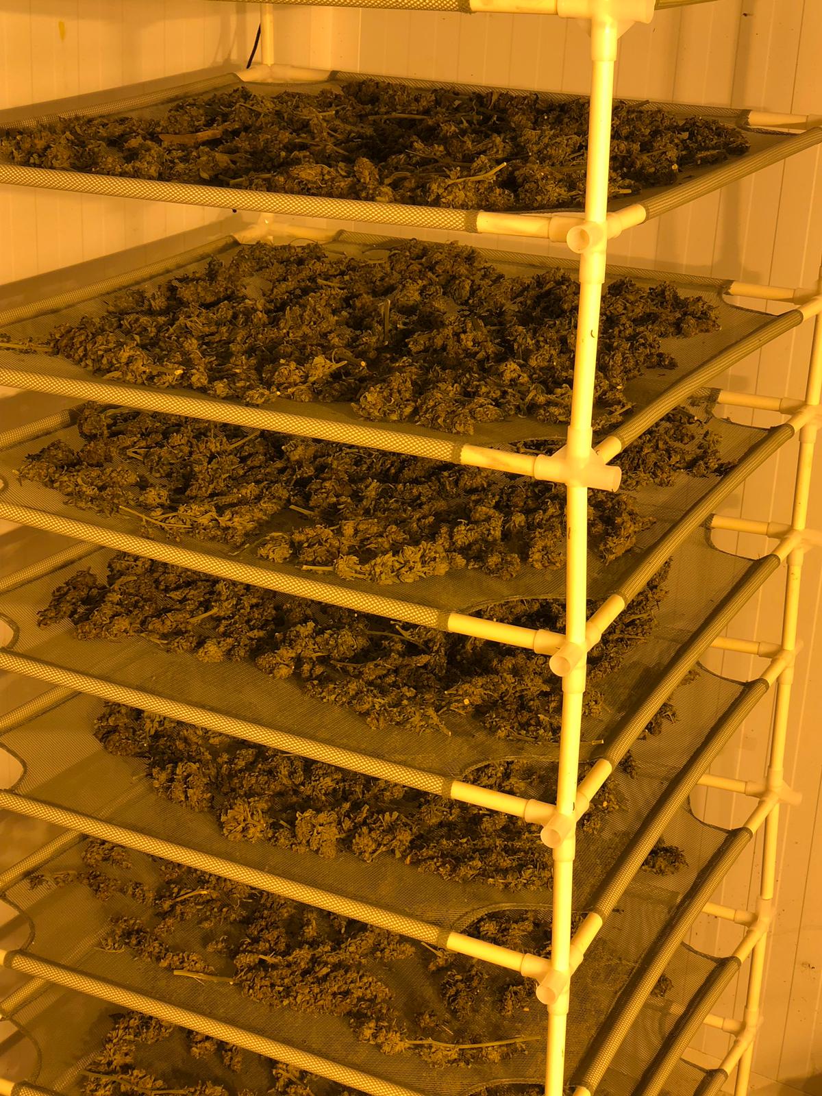 דוברות משטרה