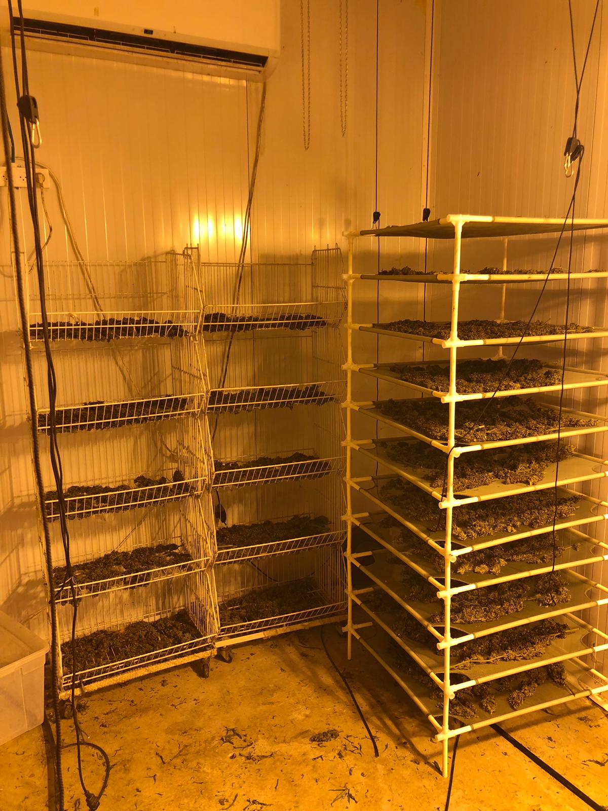 דוברות משטרה