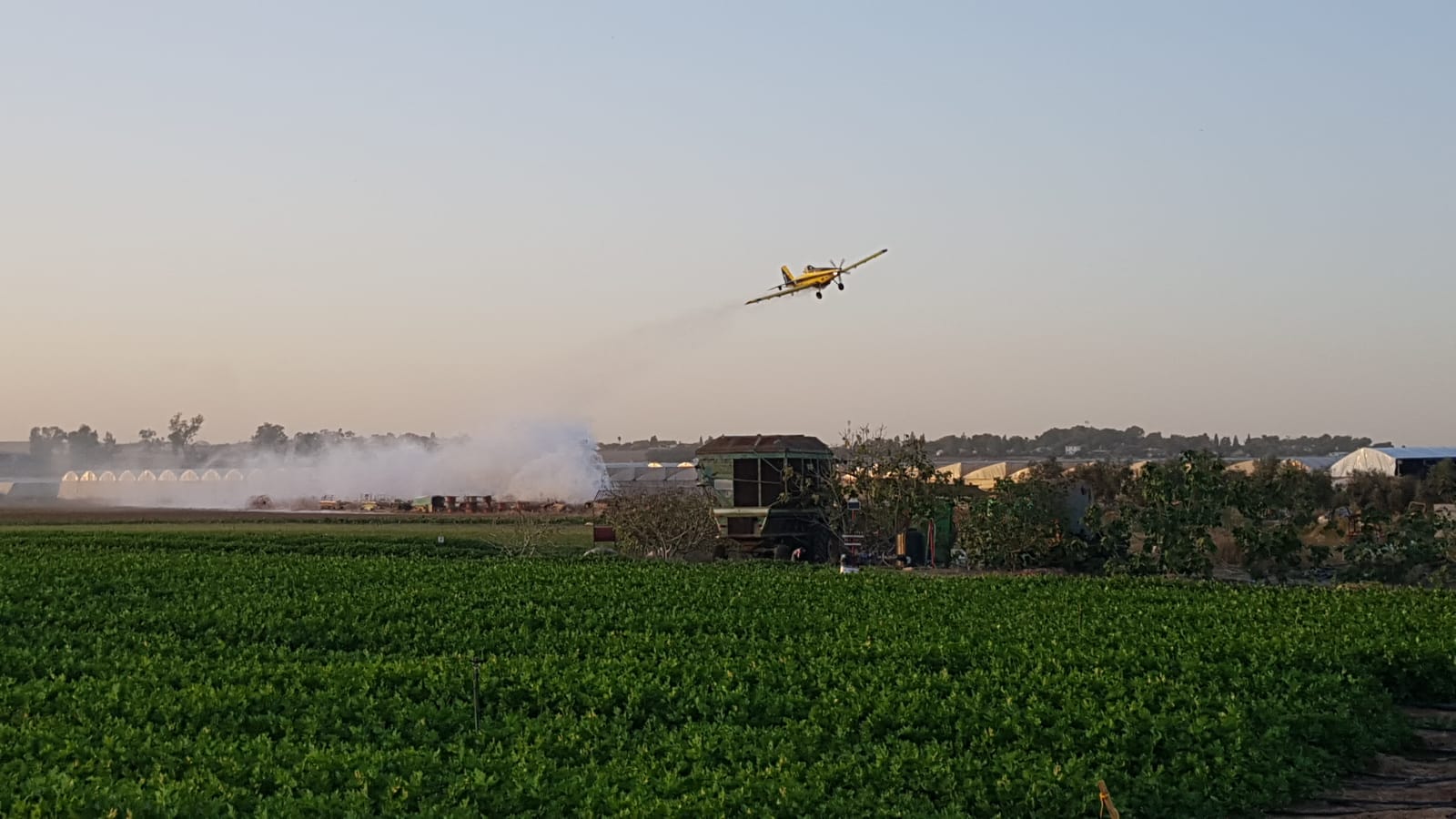 שריפה באגם זוהר