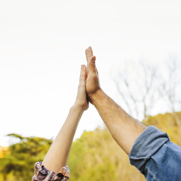 אילוסטרציה. צילום: freepik