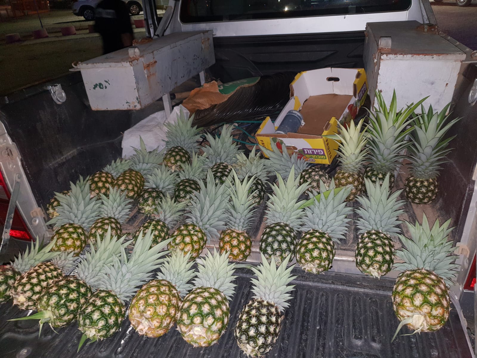 דובורת משטרה