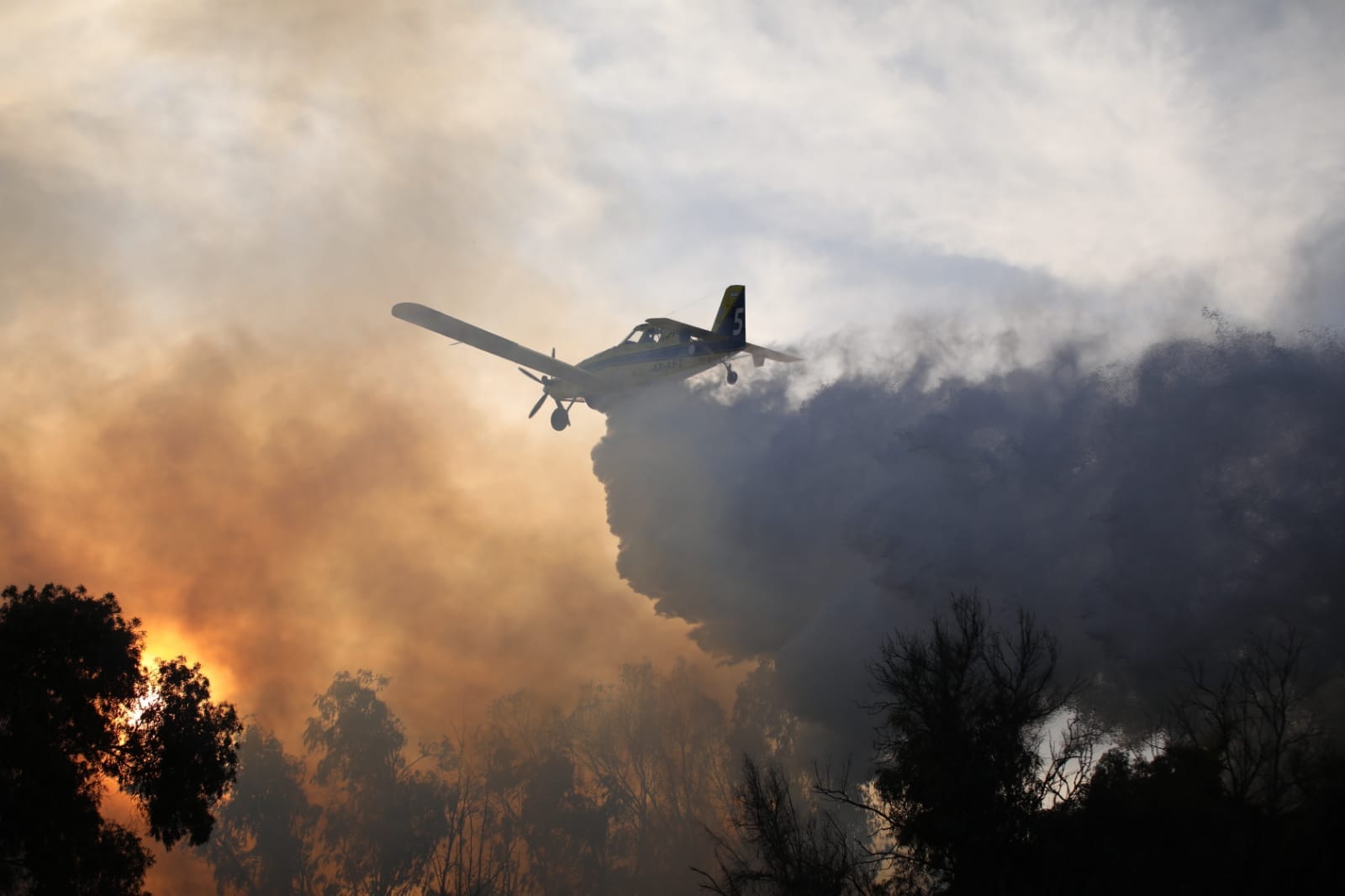 צילום ענבל בן דור