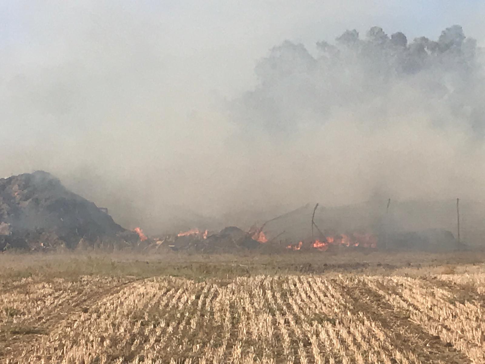 דוברות משטרה