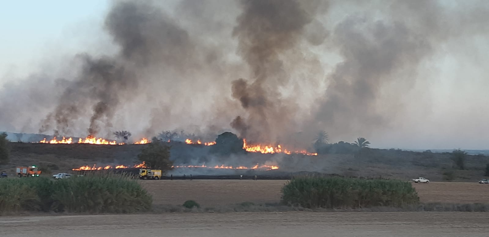 שריפה בגברעם