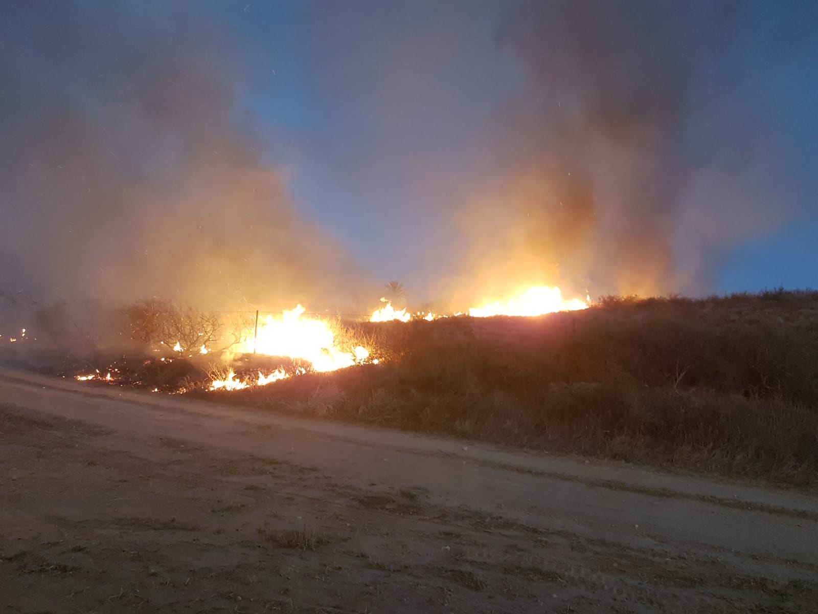שריפה בגברעם
