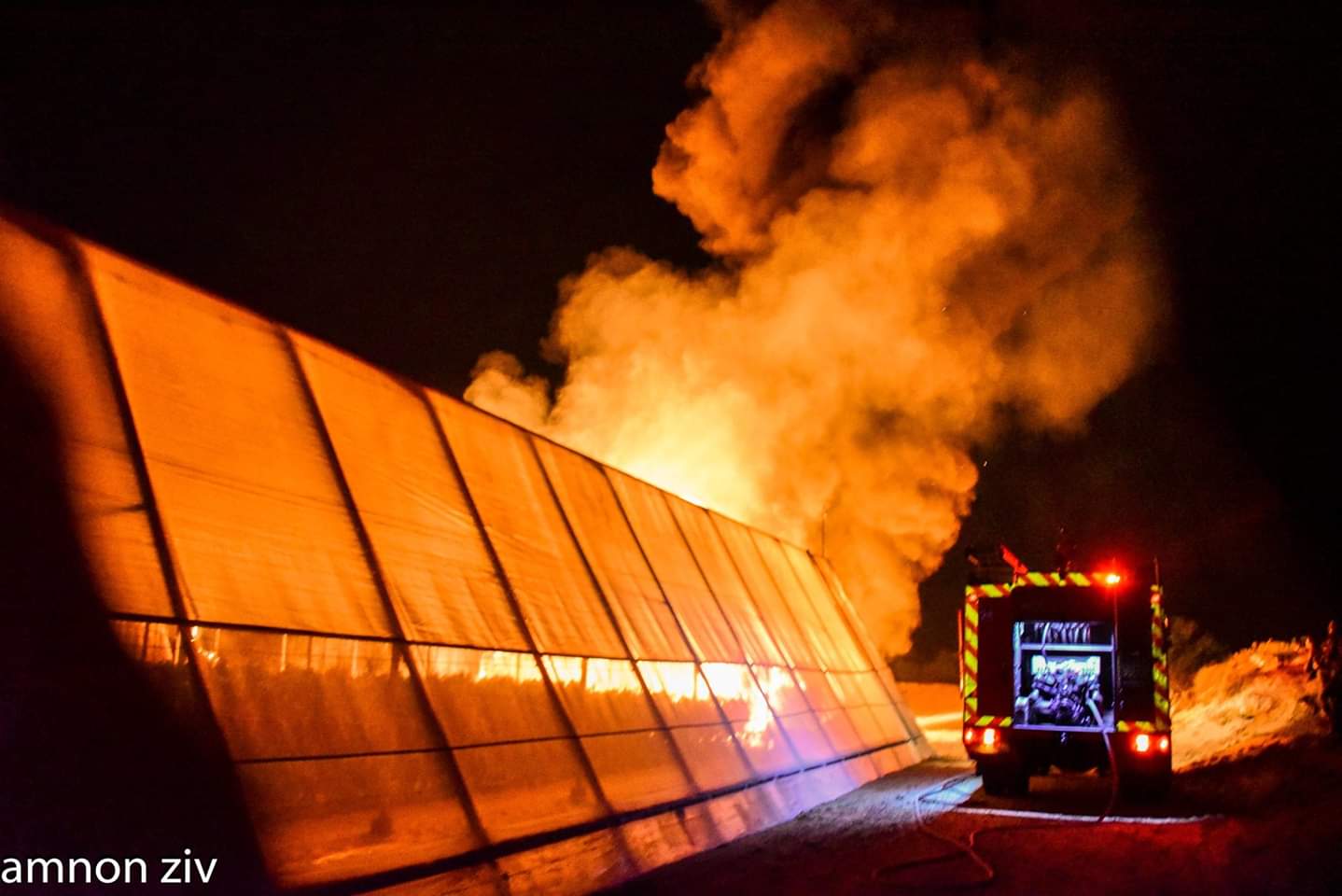 צילום אמנון זיו