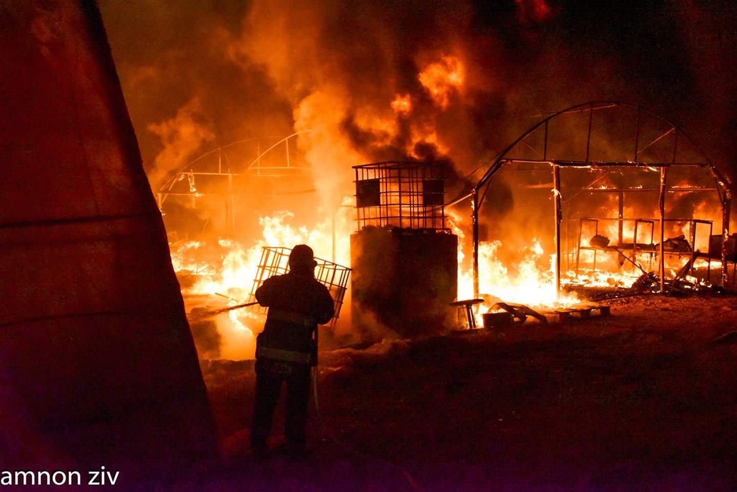 צילום אמנון זיו