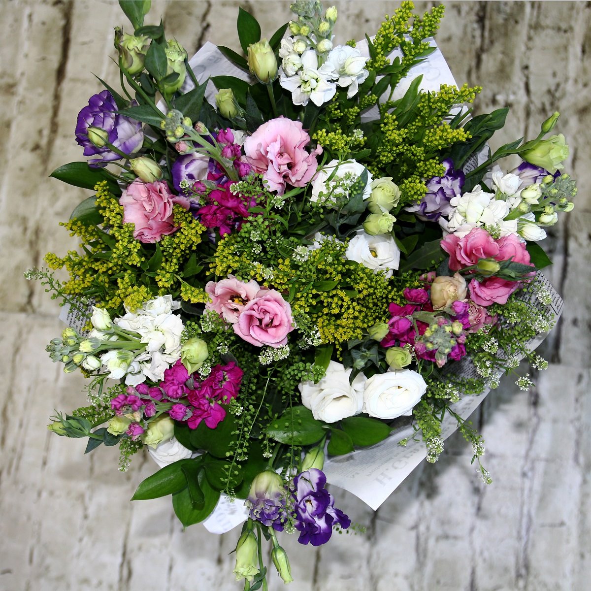 צילום מקס שרבנוב