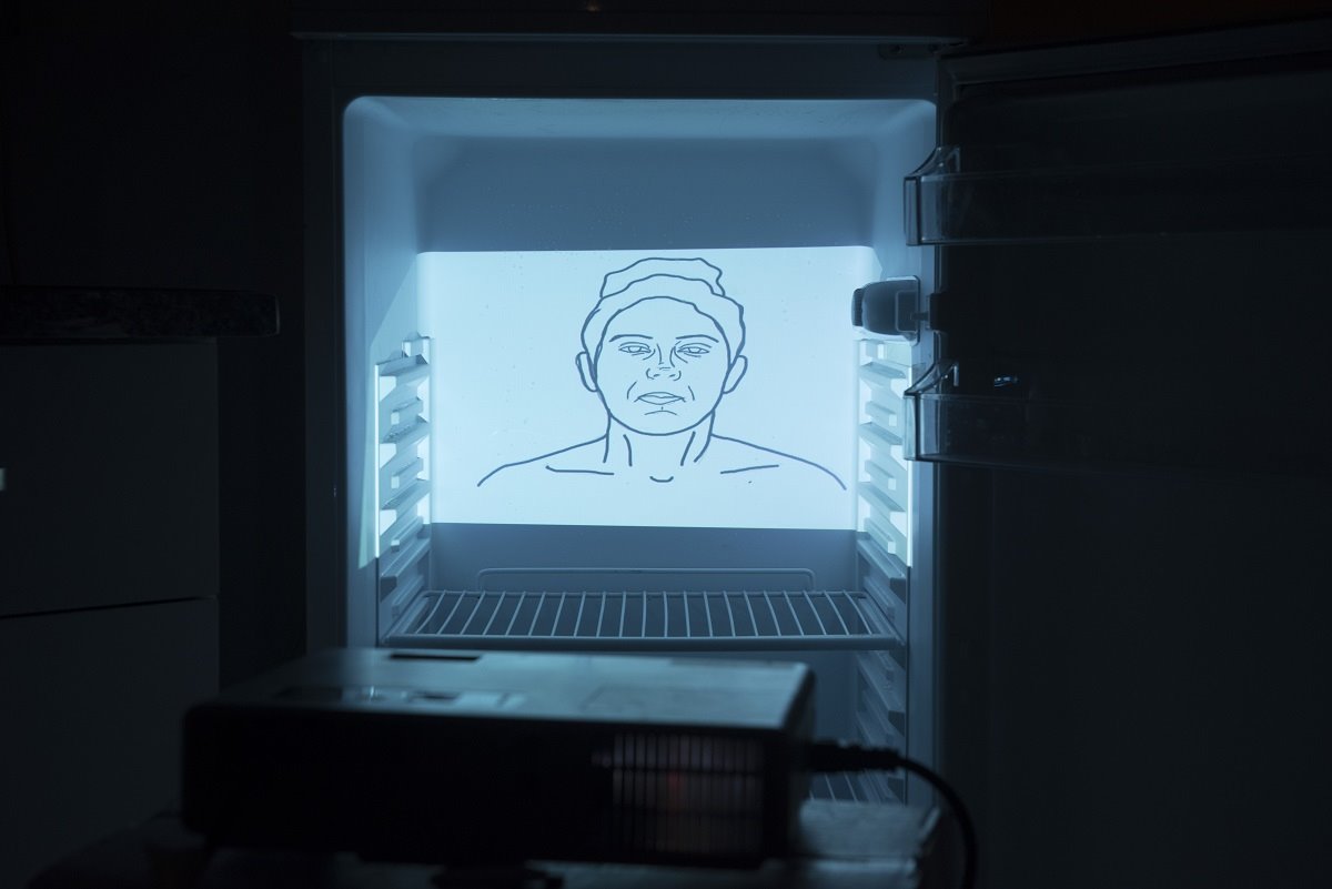 עבודתה של עדי כהן תלמידת יב - הקרנה בתוך מקרר