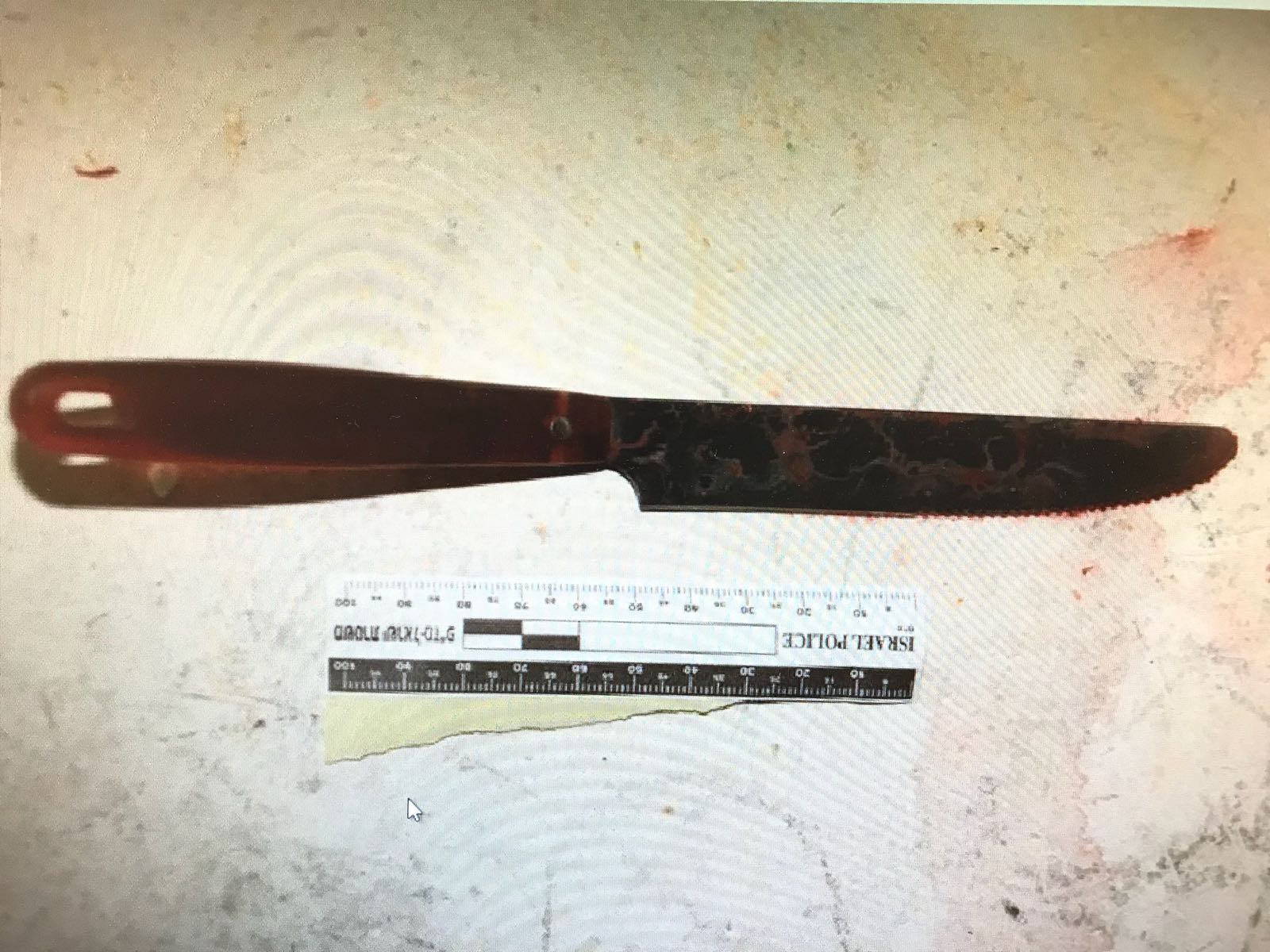 צילום משטרה