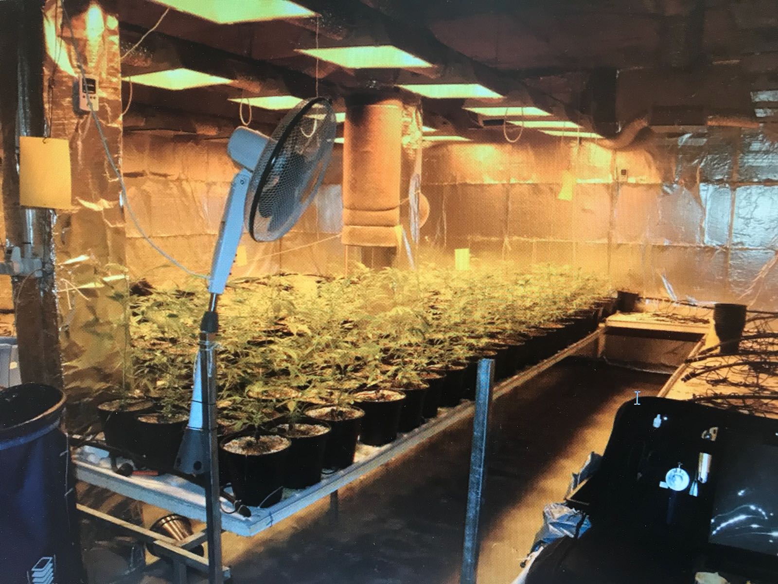 צילום דוברות משטרה